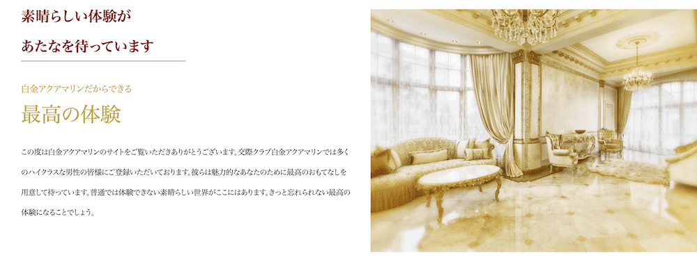 交際クラブ、白金アクアマリン